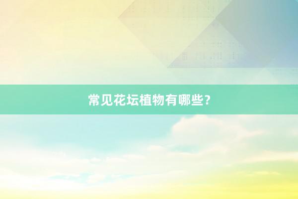常见花坛植物有哪些？