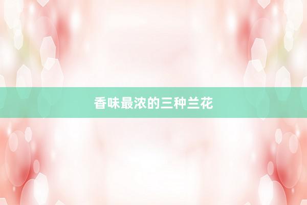 香味最浓的三种兰花